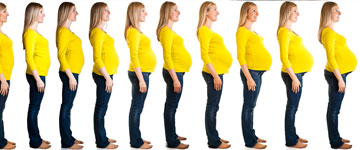 7 Semanas de embarazo | Embarazo